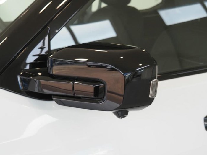 2025 LDV Terron 9 Evolve