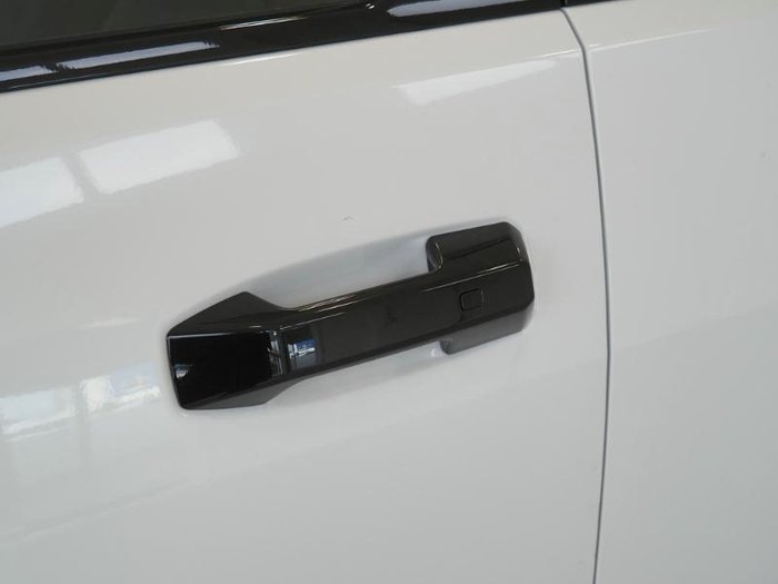 2025 LDV Terron 9 Evolve