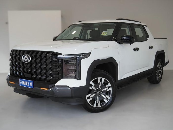 2025 LDV Terron 9 Evolve