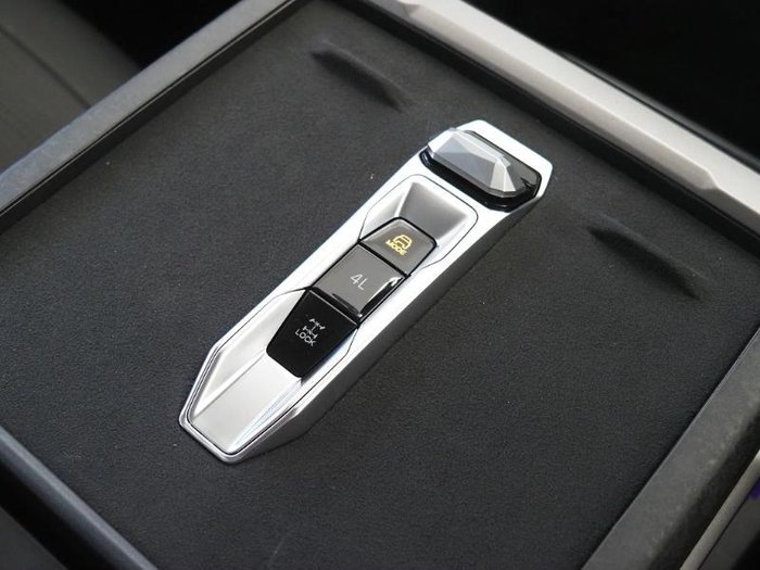 2025 LDV Terron 9 Evolve