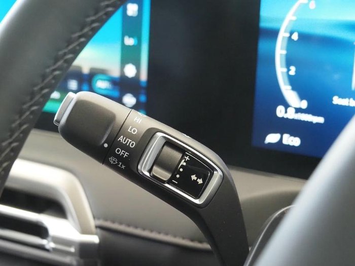 2025 LDV Terron 9 Evolve