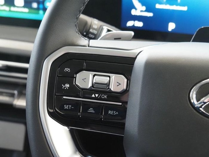 2025 LDV Terron 9 Evolve