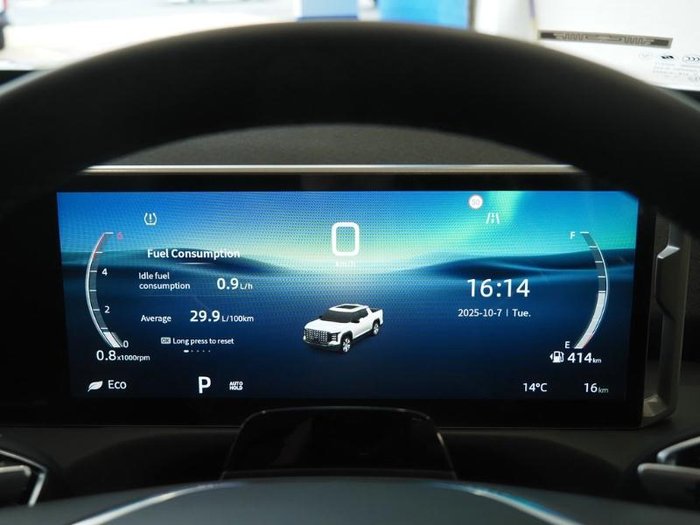 2025 LDV Terron 9 Evolve