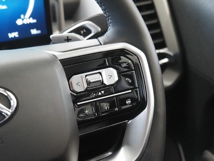 2025 LDV Terron 9 Evolve