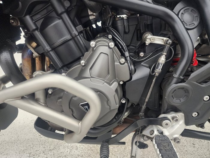 2023 Triumph TIGER 900 GT PRO White