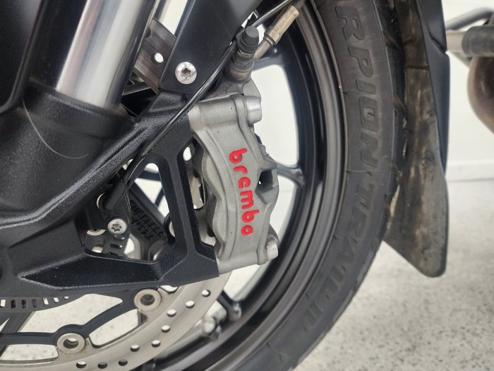 2023 Triumph TIGER 900 GT PRO White