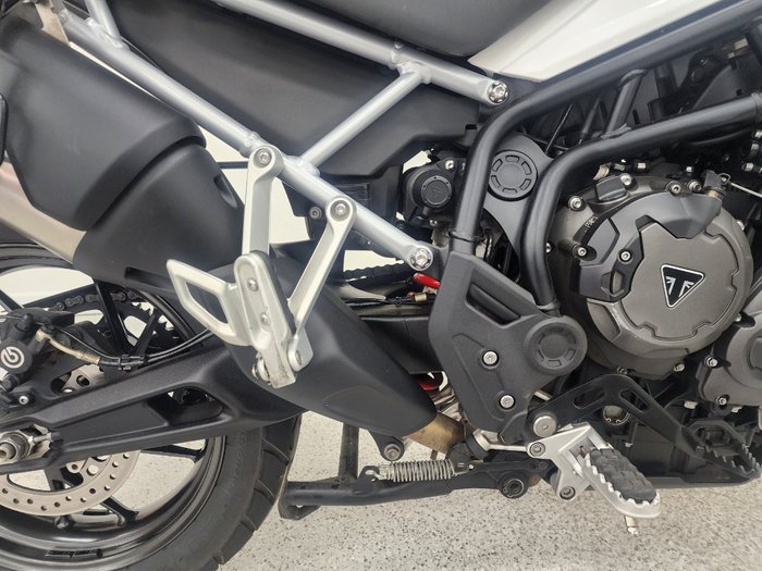 2023 Triumph TIGER 900 GT PRO White