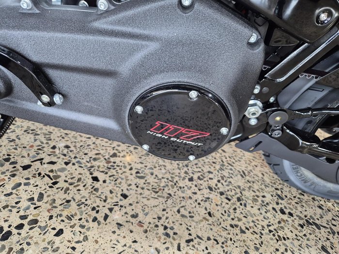 2025 Harley-Davidson Low Rider ST 117 (FXLRST)