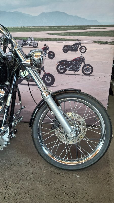 2009 Harley-davidson FXSTC SOFTAIL CUSTOM Black