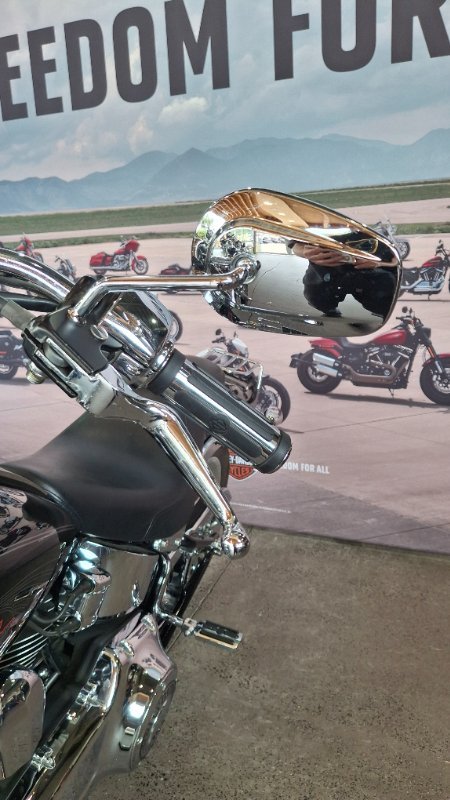 2009 Harley-davidson FXSTC SOFTAIL CUSTOM Black