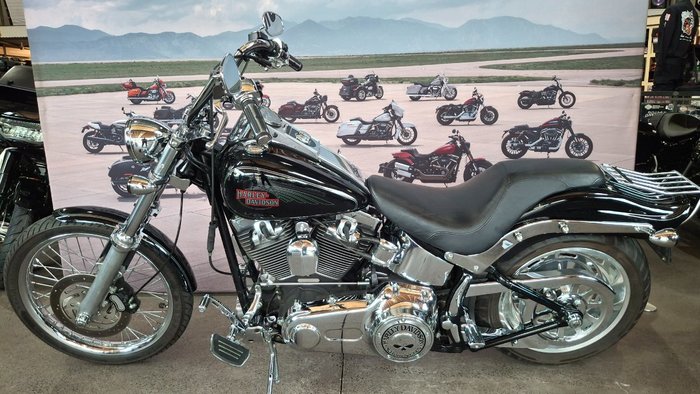 2009 Harley-davidson FXSTC SOFTAIL CUSTOM Black