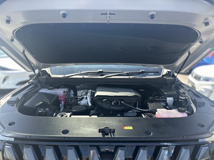 2025 LDV Terron 9 Evolve