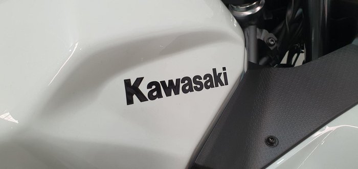 2025 Kawasaki Ninja 500 SE Ninja White