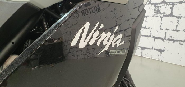 2025 Kawasaki Ninja 500 SE Ninja White