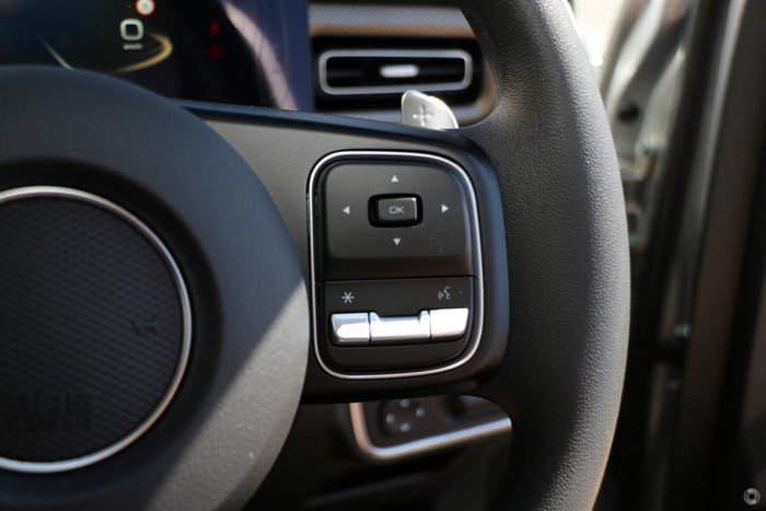 2025 GWM Cannon Premium