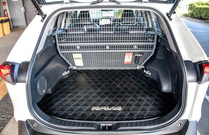 2021 Toyota RAV4 Cruiser