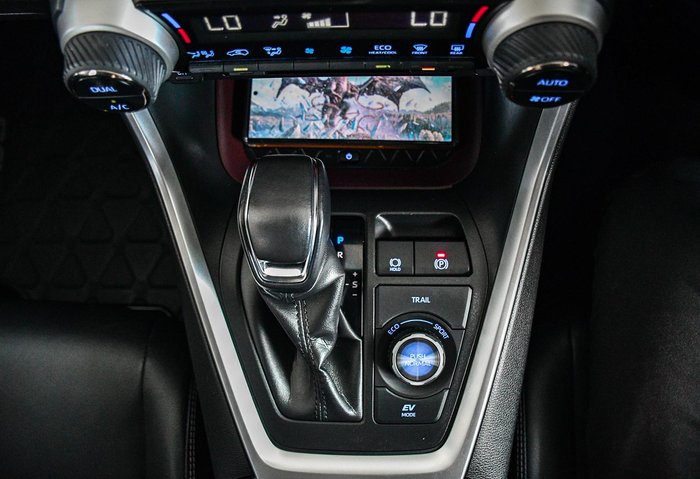 2021 Toyota RAV4 Cruiser