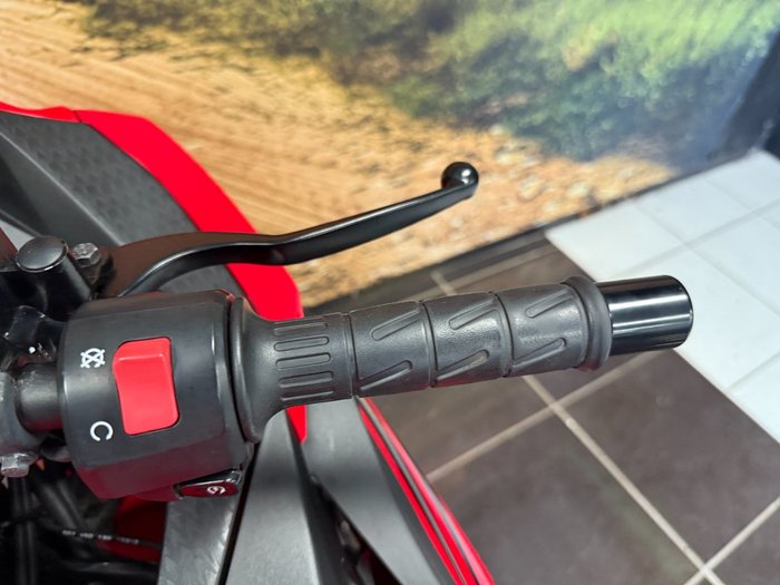 2016 Kawasaki NINJA 300 ABS RED