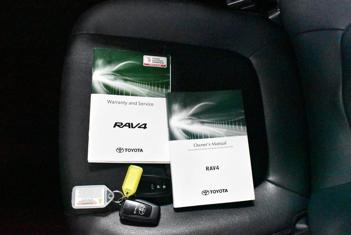 2020 Toyota RAV4 Cruiser