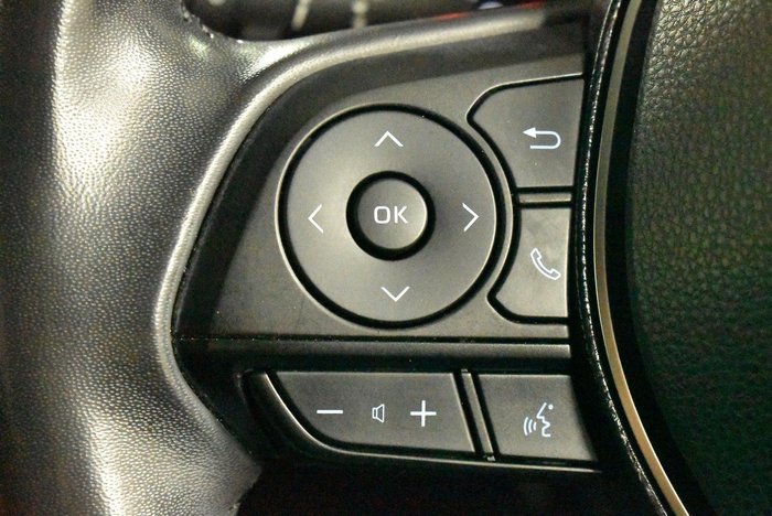 2020 Toyota RAV4 Cruiser