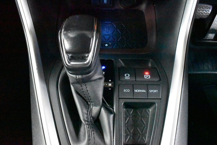 2020 Toyota RAV4 Cruiser