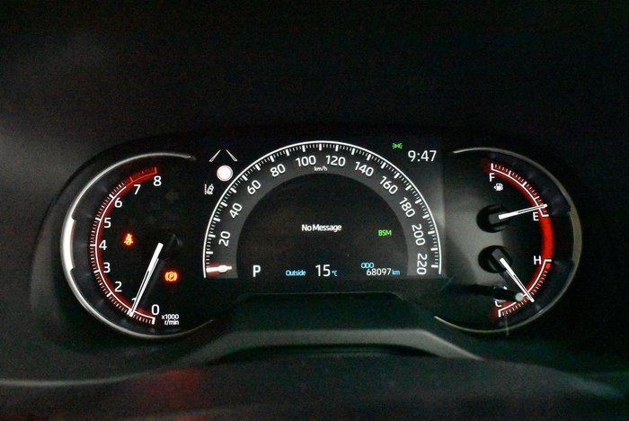 2020 Toyota RAV4 Cruiser