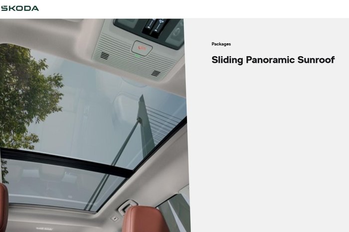 2025 SKODA Kodiaq RS