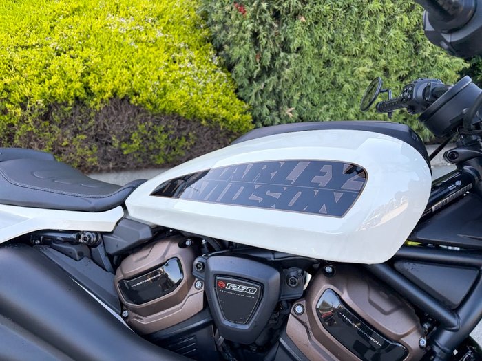 2022 HARLEY-DAVIDSON RH1250S SPORTSTER S white
