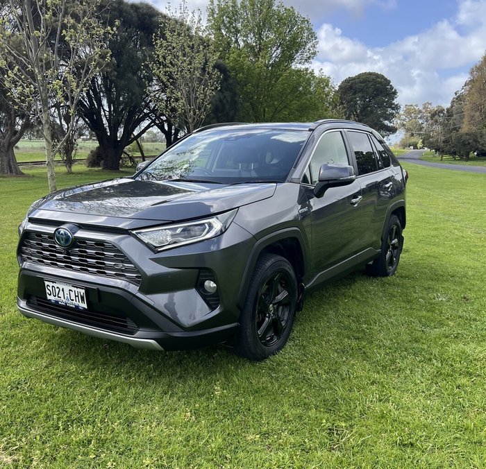 2020 Toyota RAV4 Cruiser