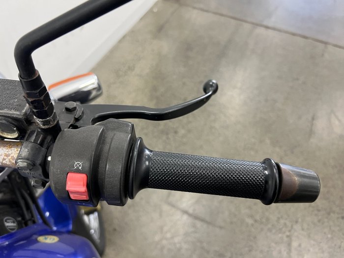 2007 Yamaha SCORPIO Blue