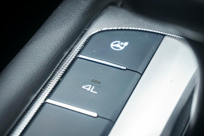 2022 GWM Ute Cannon-X