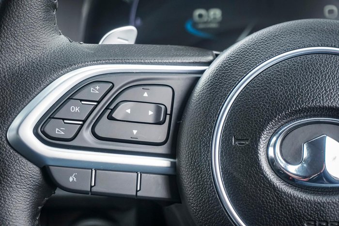 2022 GWM Ute Cannon-X