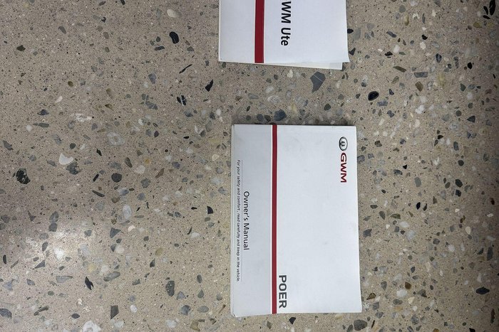 2022 GWM Ute Cannon-X