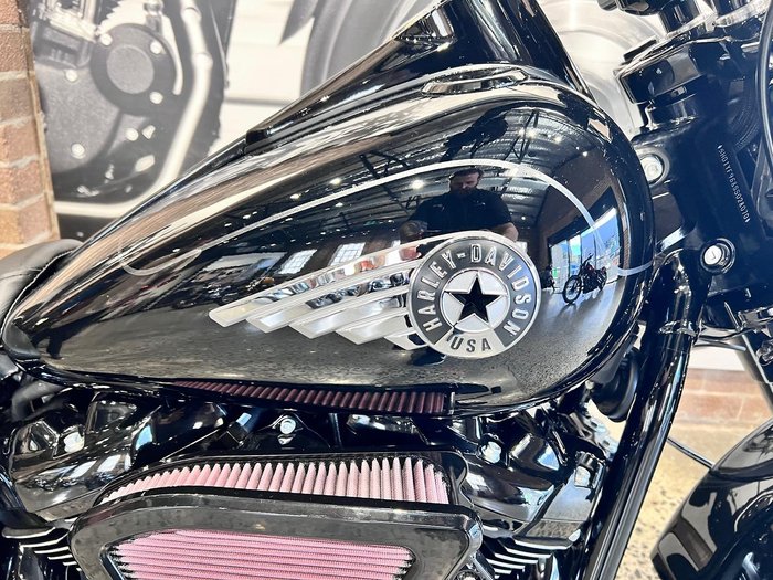 2025 Harley-Davidson Fat Boy 117 (FLFB) Softail Black