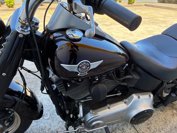 2014 HARLEY-DAVIDSON FLSTF FAT BOY Purple