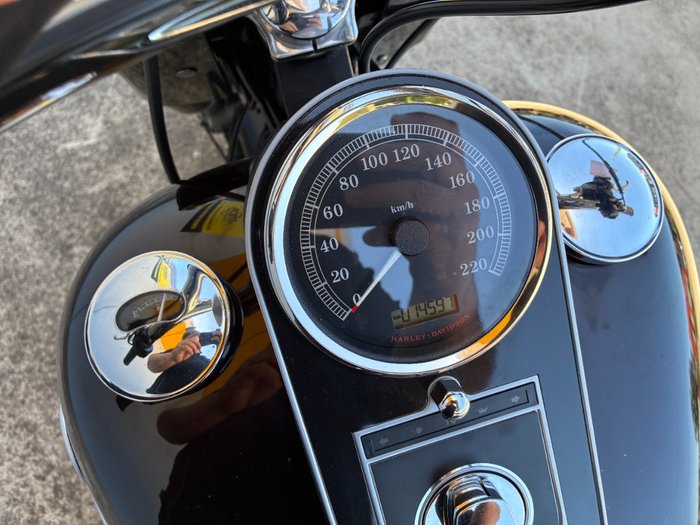 2014 HARLEY-DAVIDSON FLSTF FAT BOY Purple