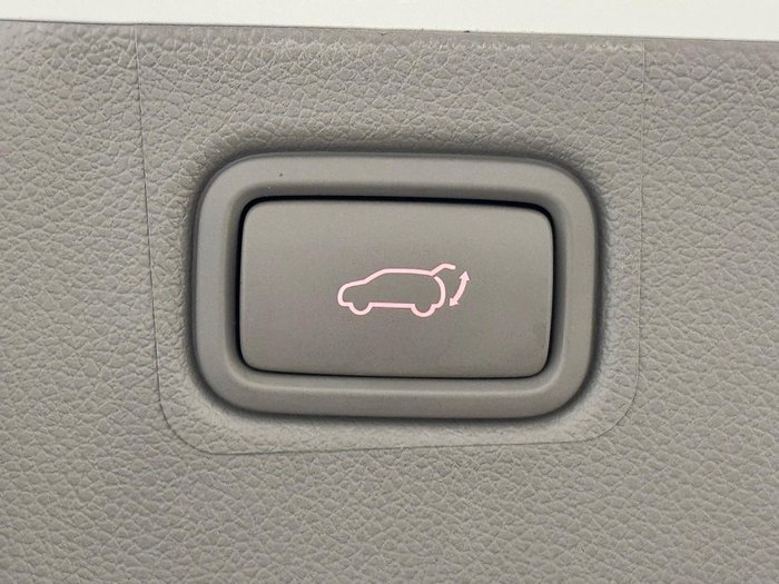 2019 Kia Carnival Platinum