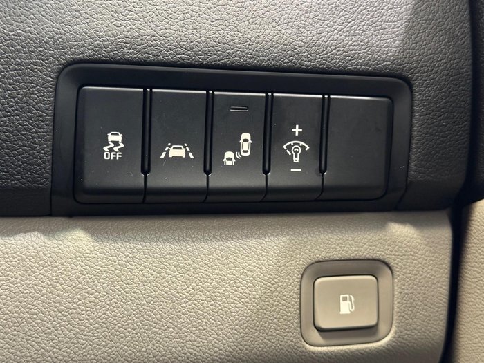 2019 Kia Carnival Platinum