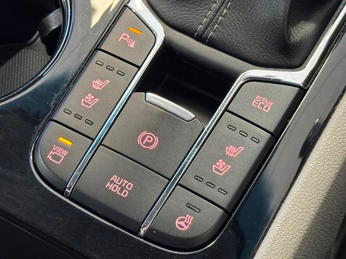 2019 Kia Carnival Platinum