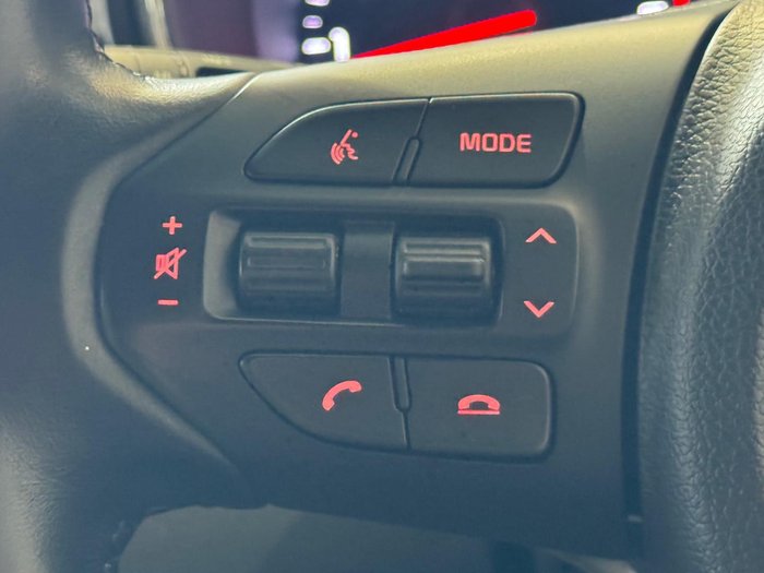 2019 Kia Carnival Platinum