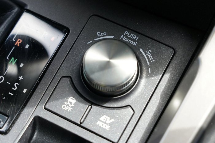 2020 Lexus NX NX300h Luxury