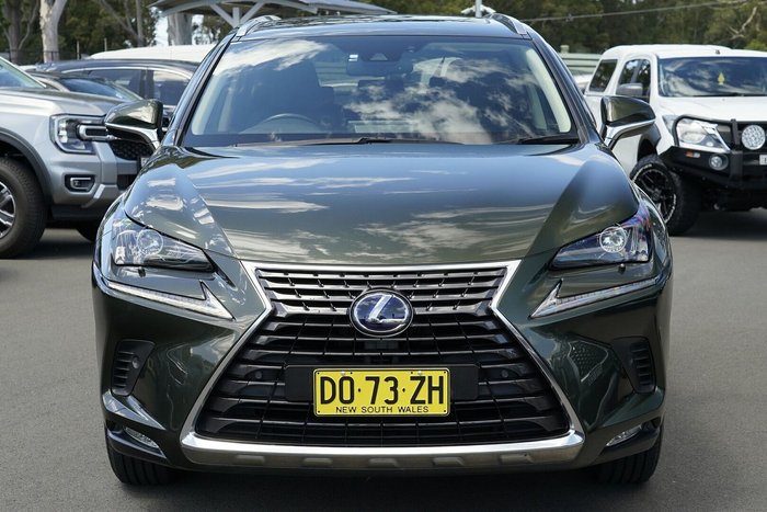 2020 Lexus NX NX300h Luxury