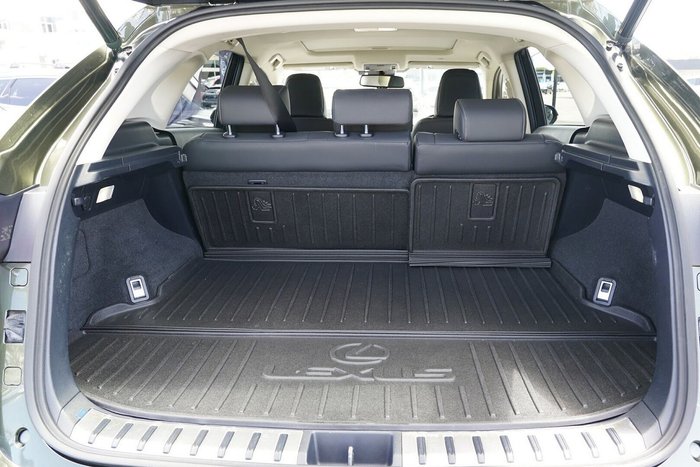 2020 Lexus NX NX300h Luxury