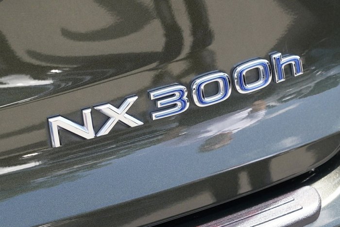 2020 Lexus NX NX300h Luxury