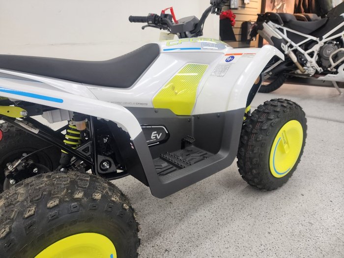 2022 CFMOTO C FORCE EV110 Green
