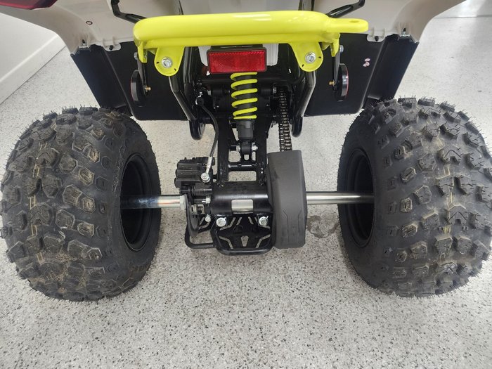 2022 CFMOTO C FORCE EV110 Green