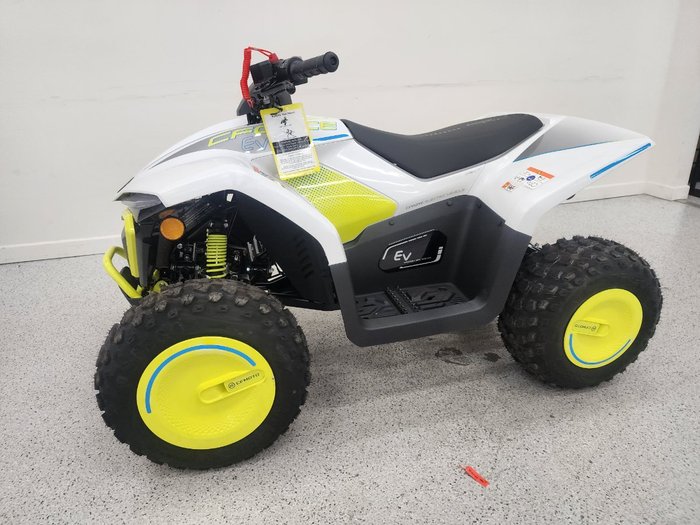 2022 CFMOTO C FORCE EV110 Green
