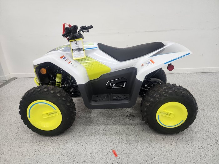 2022 CFMOTO C FORCE EV110 Green