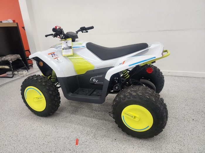 2022 CFMOTO C FORCE EV110 Green