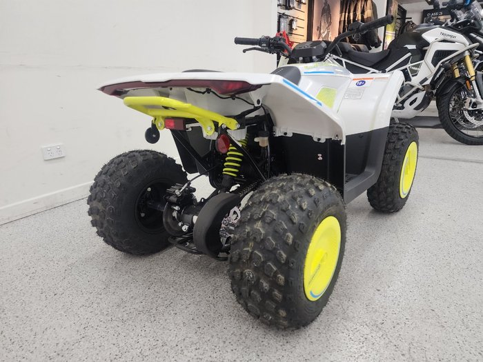 2022 CFMOTO C FORCE EV110 Green